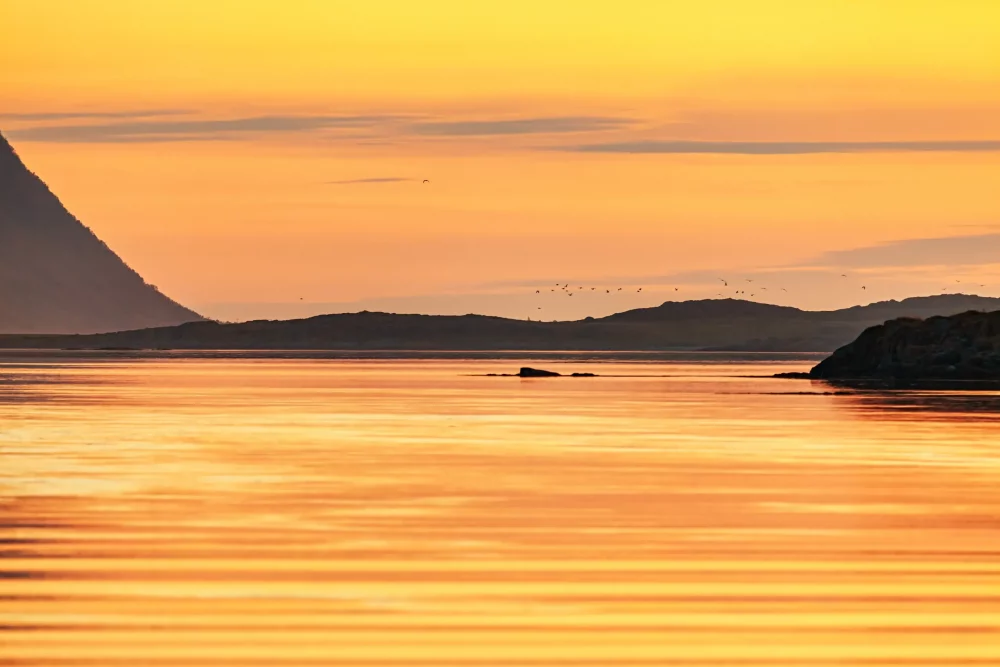 sol-lofoten-1000x667 - El sol de medianoche: qué es, cuál es la mejor época y dónde verlo