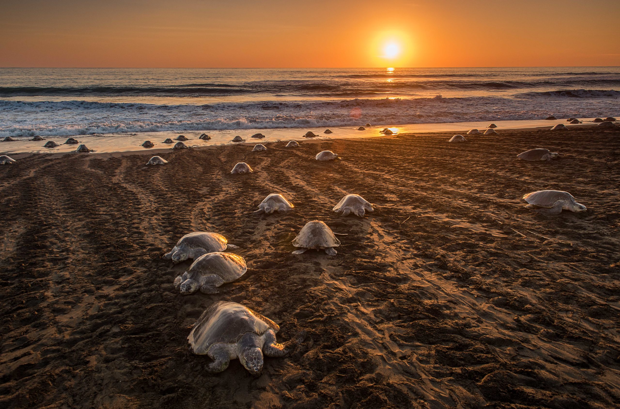 Costa Rica: el manifiesto del lujo natural, una guía completa
