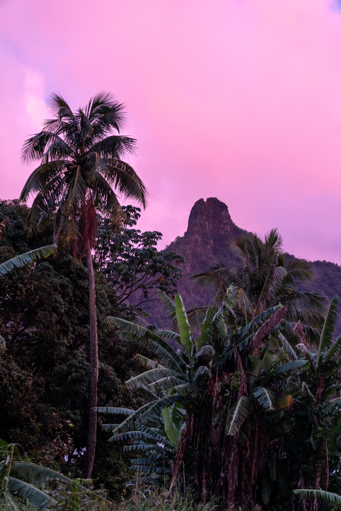 Rarotonga.21 - Islas Cook, un destino atrapado en el tiempo