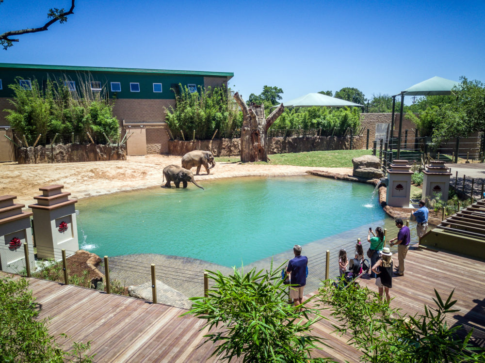 Zoo-Elephant-Expansion-3-1000x749 - 10 lugares de Houston para descubrir en familia