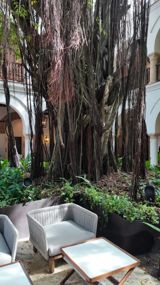 dji_mimo_20260701_080322_20260701090323_1783455362165_photo-563x1000 - Four Seasons Cartagena: la joya dentro del barrio de Getsemaní