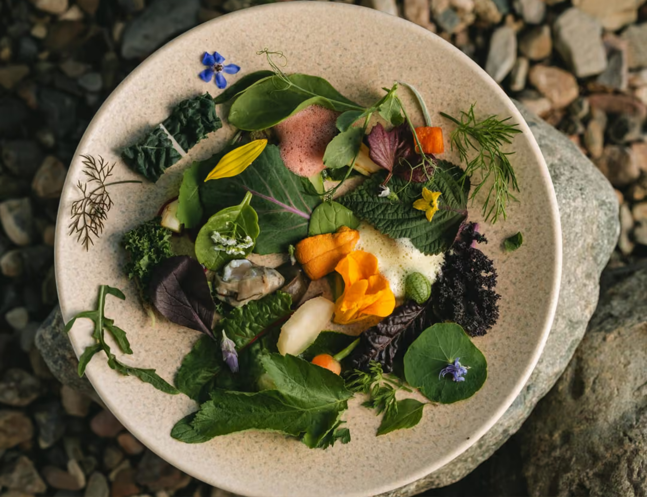 Así es Olivea Farm To Table, un restaurante Michelin de Valle de Guadalupe