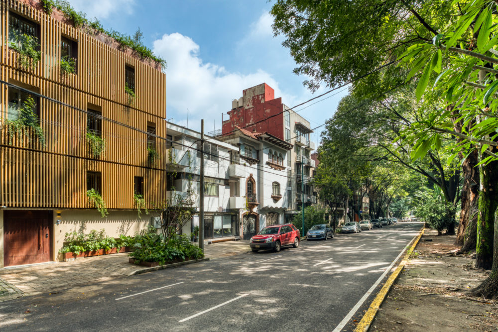 Aventura y sofisticación en CDMX, tienes que hospedarte en Casa Tasman Condesa Aventura y sofisticación en CDMX, tienes que hospedarte en Casa Tasman Condesa