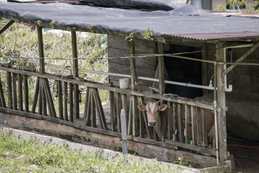 F__0309-1000x667 - ¡Atención senderistas!  El cerro Chirripó (y sus alrededores) en Costa Rica debe ser tu siguiente aventura