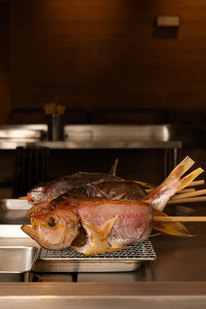 IMG_9769-666x1000 - KUMOTO: el nuevo restaurante en CDMX de cocina japonesa a la brasa