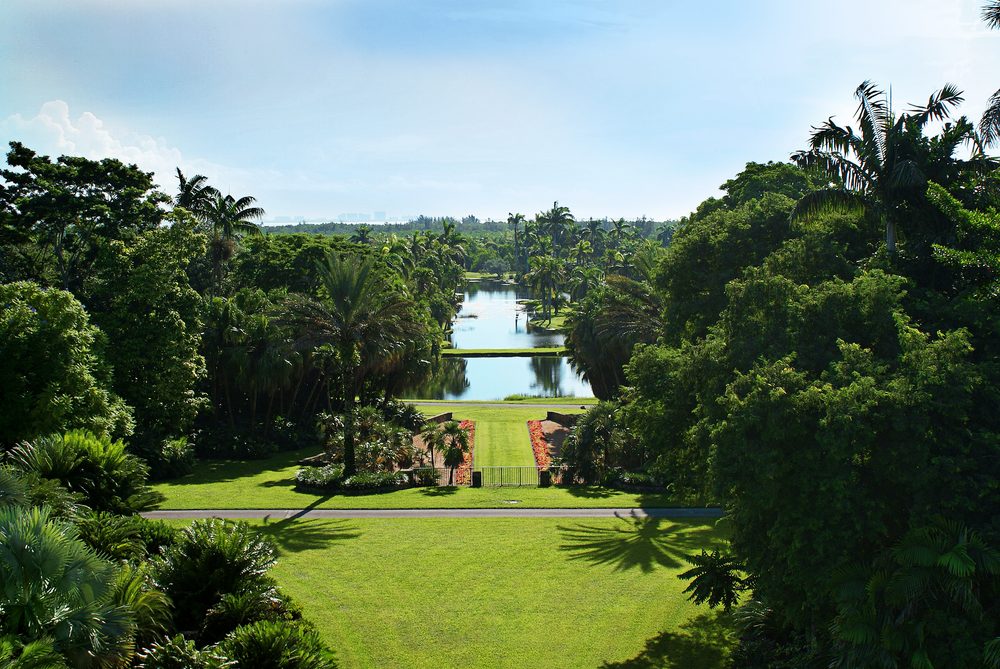 Jardin-Botanico-Foto-de-Carlos-Causo-1000x669 - Miami más allá de las playas: otra mirada a la capital multicultural del sur de Florida