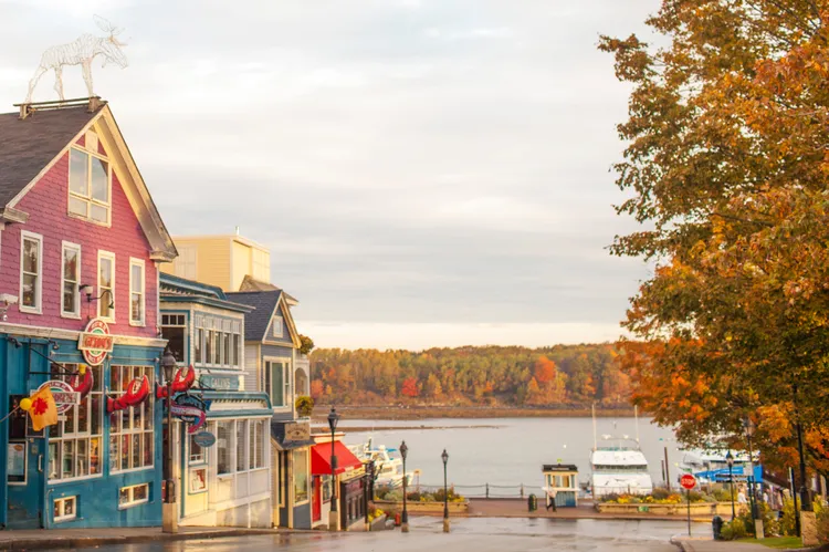 Hojas de colores, cafeterías y clima de suéter: este pueblo de Maine es perfecto para el otoño Hojas de colores, cafeterías y clima de suéter: este pueblo de Maine es perfecto para el otoño