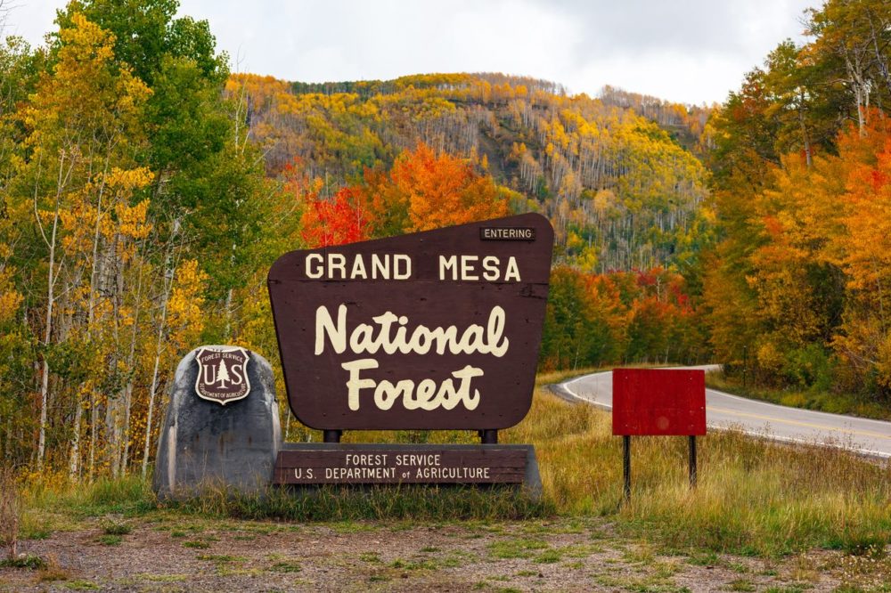 TAL-best-time-grand-mesa-entrance-and-fall-foliage-GRANDMESAGUIDE0926-c3a1ca7ea7a743c58ea878d2f46629e6-1000x666 - 300 lagos, senderos y paisajes increíbles: descubre este paraíso natural de Colorado