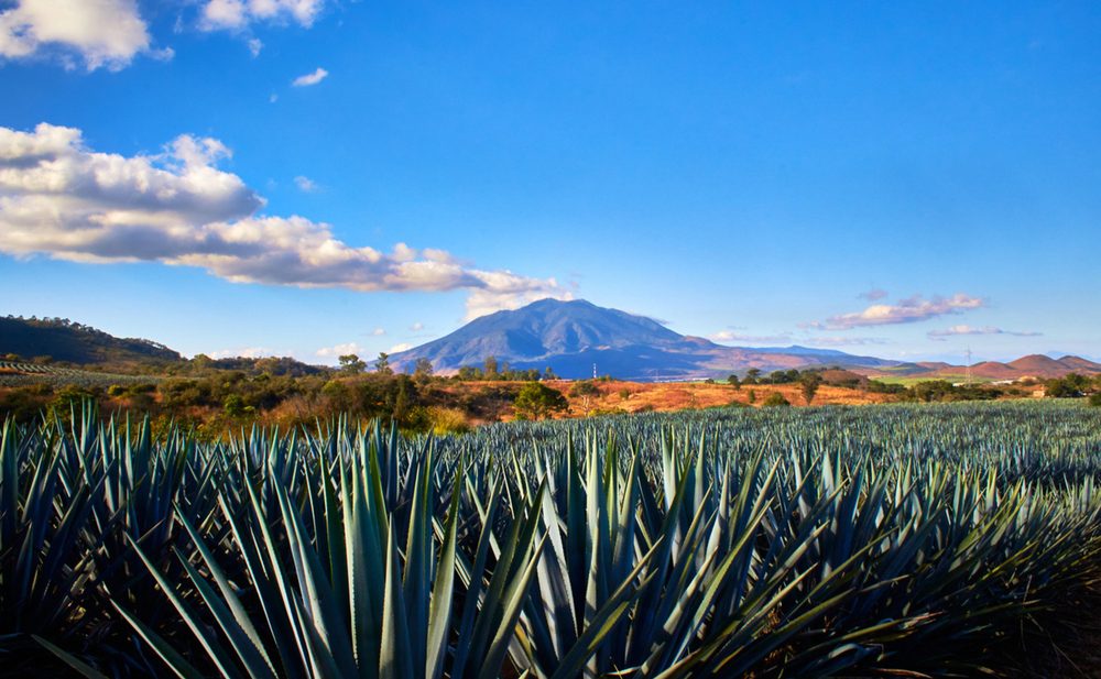tequila-jalisco-mexico-1000x617 - 5 Pueblos Mágicos para celebrar las fiestas patrias en México