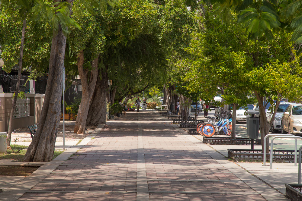 Copia-de-CYPM-185-de-226OK - Mérida, el destino que se vive. Te damos la mejor guía para visitarlo