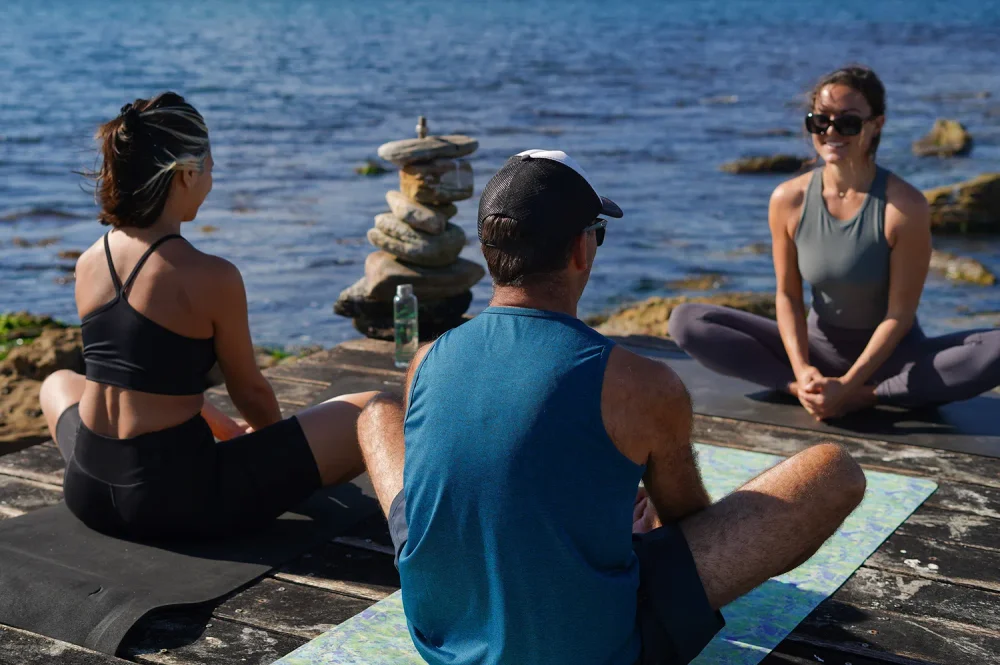 TAL-wellness-island-tasmania-australia-PICNICISLAND0926-b3ca446feaf0430f80682672afcfc1ed-1000x665 - Puedes rentar una isla privada frente a la costa de Tasmania, Australia, hogar de una colonia de pingüinos