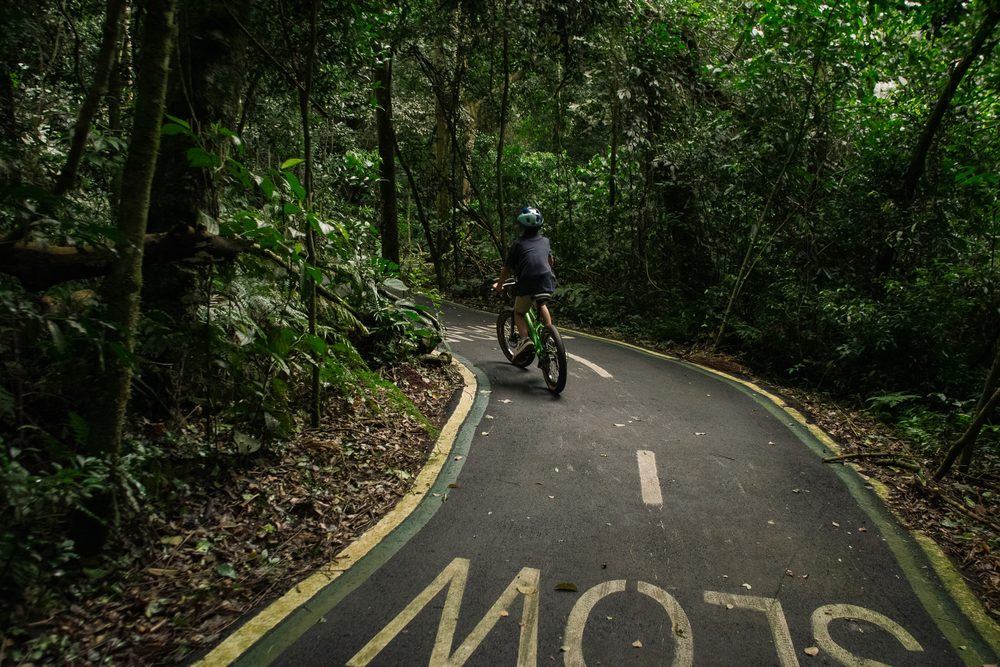 bicicletas-hotel-das-cataratas-1000x667 - Guía de lujo a las Cataratas del Iguazú: dónde hospedarse y qué hacer en familia