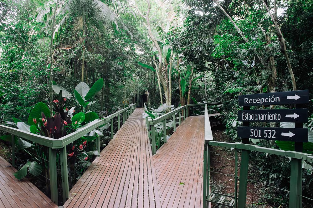la-reserva-virgin-lodge-2-1000x667 - Guía de lujo a las Cataratas del Iguazú: dónde hospedarse y qué hacer en familia